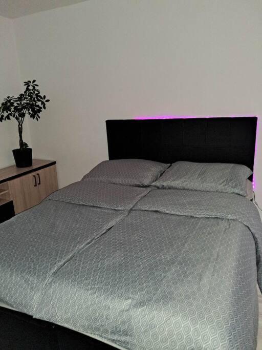 Apartament Na 4 Pietrze Nowy Targ Exterior foto