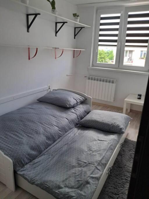 Apartament Na 4 Pietrze Nowy Targ Exterior foto